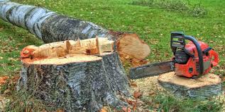 Best Lot and Land Clearing  in Old Tappan, NJ